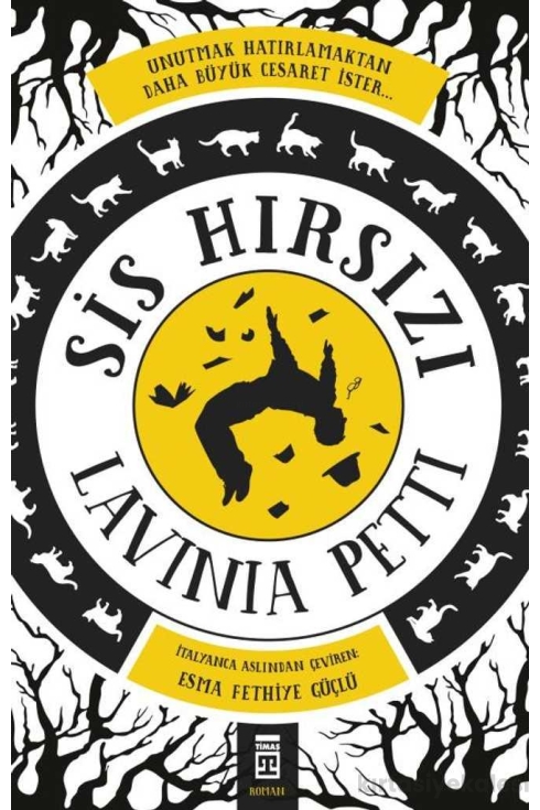 Sis Hırsızı